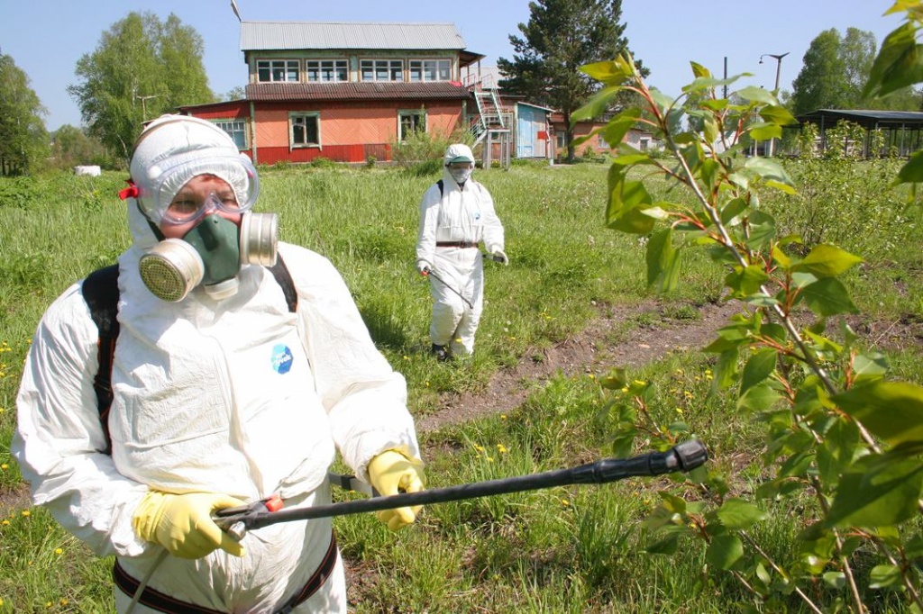 Пример работы 2